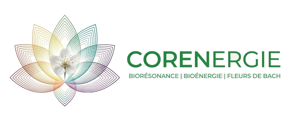 Bien être- fleurs de bach- biorésonance- bioénergie- Sainte rose Guadeloupe